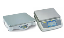 •	Bench Scale (เครื่องชั่งวางโต๊ะ, เครื่องชั่งตั้งโต๊ะ)